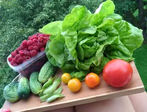 Nikola Korzecová - jedlé zahradnictví