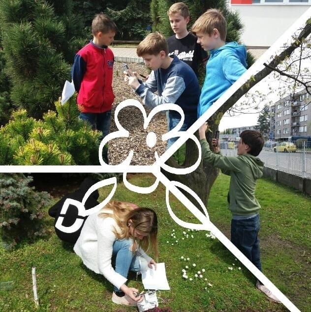 PlantNet