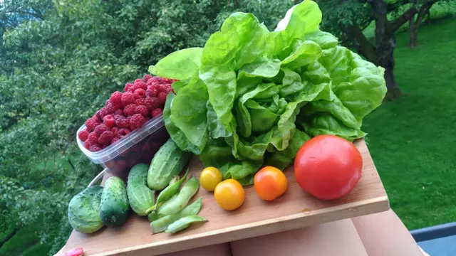 Nikola Korzecová - jedlé zahradnictví